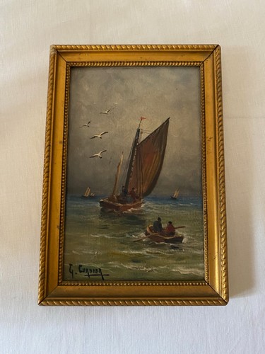 Corbier marine - ,
