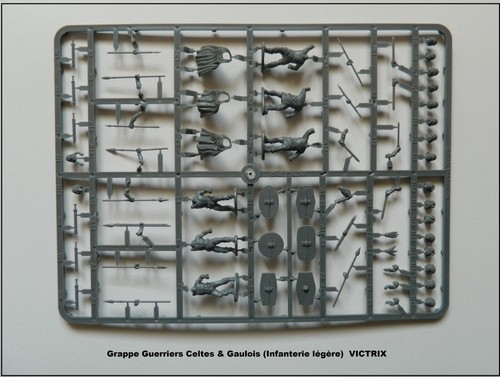 Victrix grappe guerriers - grappe,
