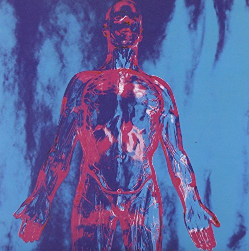 Nirvana sliver lp - sliver, vinyle