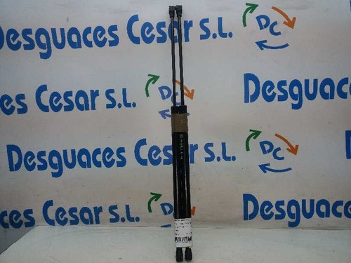 8731e7 verin hayon coffre - verin,
