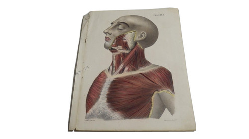1850 lithographie couleur - 1850.lithographie,