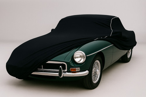 Housse pour voiture indoor - housse,