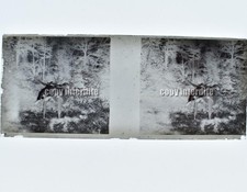 Femmes nues 1920 plaque verre - nues,
