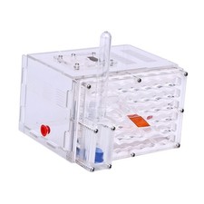 Nid d'habitat pour fourmis