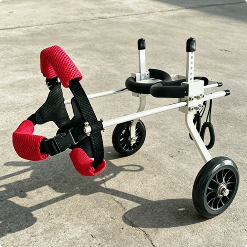 Fauteuil roulant chien pattes - fauteuil,