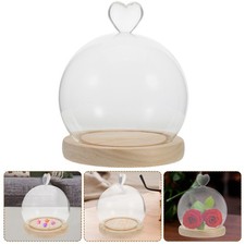  Petite Vitrine En Verre Cloche D'affichage Dômes Pour L'affichage