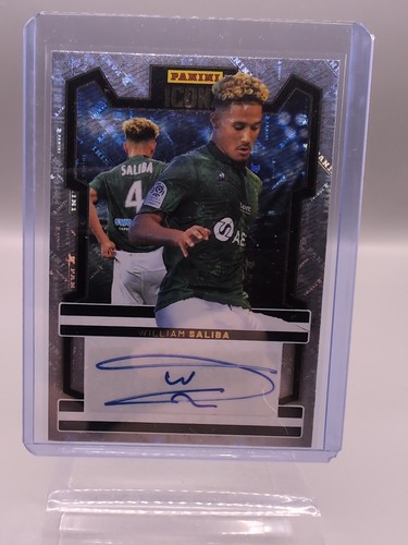 Panini iconz 2024 william - iconz, 2024-25