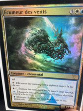 Carte Magic Écumeur Des Vents Foil