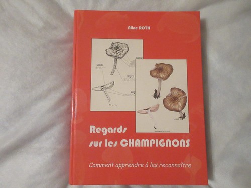 Beau livre regards - beau, les