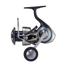 Moulinet de pêche Daiwa 21