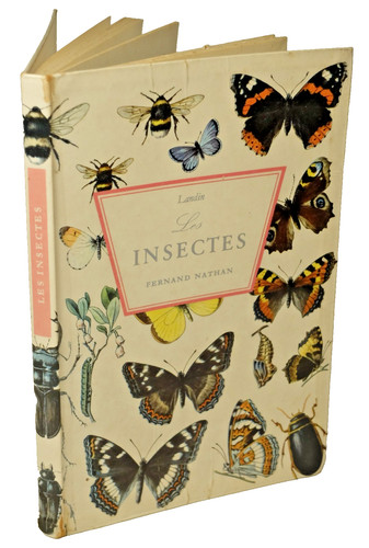 Olof landin les - les, insectes