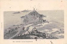 CPA 20 CORSE AJACCIO LES ILES SANGUINAIRES
