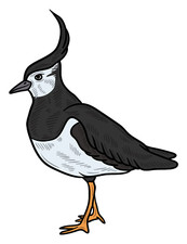 4 x autocollants de voiture