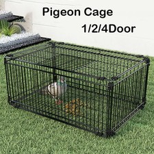 Cage À Pigeons En Fer Piège