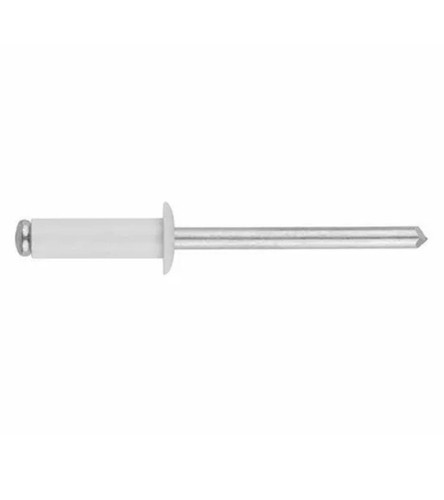 Rivets pop blanc - 20,