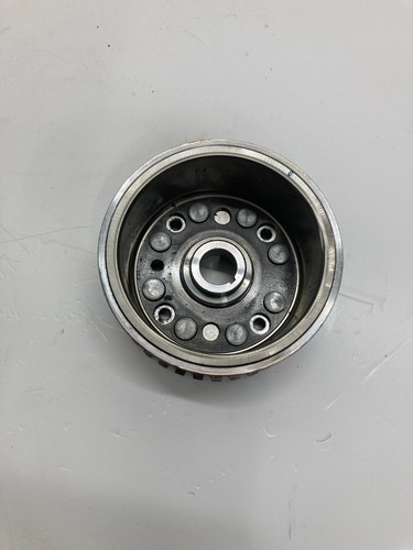 Rotor volant ktm adv 250 - rotor,