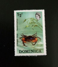 Dominique - 1973 Flora and