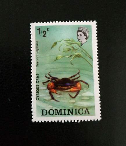 Dominique 1973 flora and - dominique,