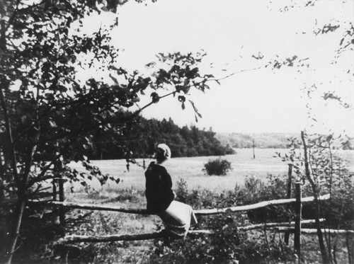 Miroir andrei tarkovsky - ,