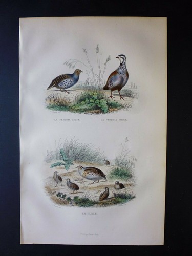 Gravure couleur