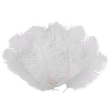 10 PièCes Plume D'Autruche