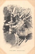 CPA ALGERIE ALGER BOURRICOT ET ALOES