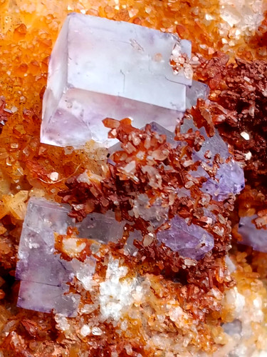 Fluorite violète authentique