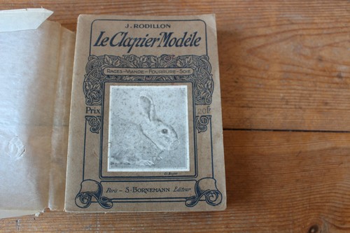 Rodillon lapins le - j.,