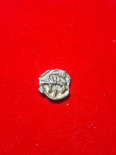 Leuques potin au sanglier - potin,