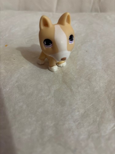 Hasbro petshop 2007 - hasbro,