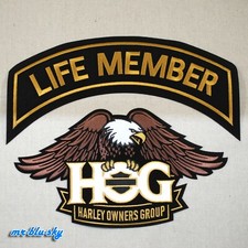 Large Eagle & Life Member Gold
