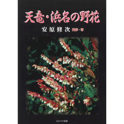 Tenryu hamana fleurs sauvages - hamana,