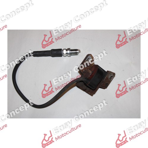 Bobine allumage moteur briggs - moteur,