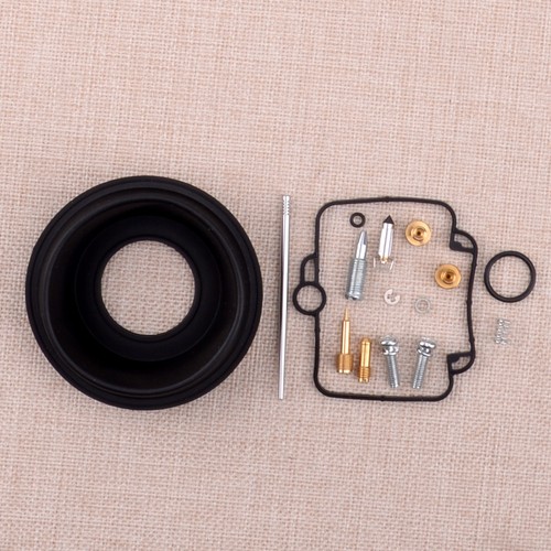 Carburetor rebuild repair - x,
