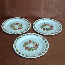 Assiettes Plates Arcopal