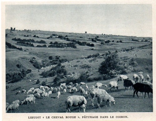 1947 lieudit le cheval - 1947, --