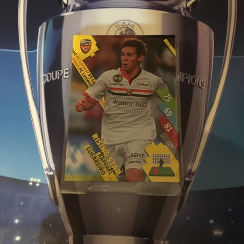 Panini foot adrenalyn 2014 - panini,