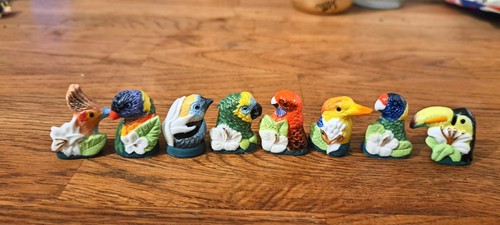 Fèves jardin aux oiseaux - fèves,