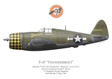 Print P-47 Thunderbolt "Shamrock, 5th Emergency Rescue Sqd, 1944 (by G. Marie)