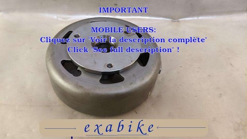 Rotor alternateur pour - rotor,