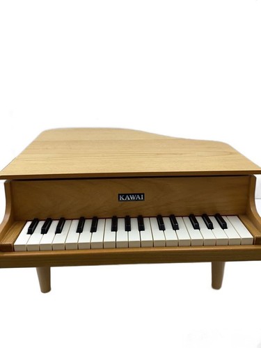 Kawai keyboard instrument - keyboard,