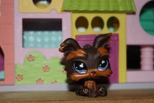 Figurine Hasbro Littlest Pet