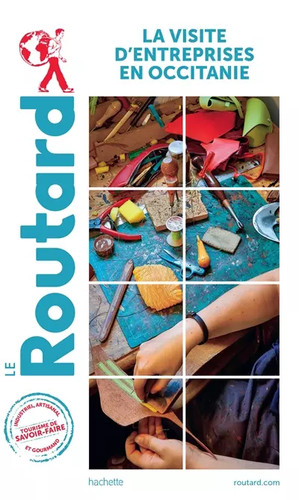 Guide routard visite - guide,