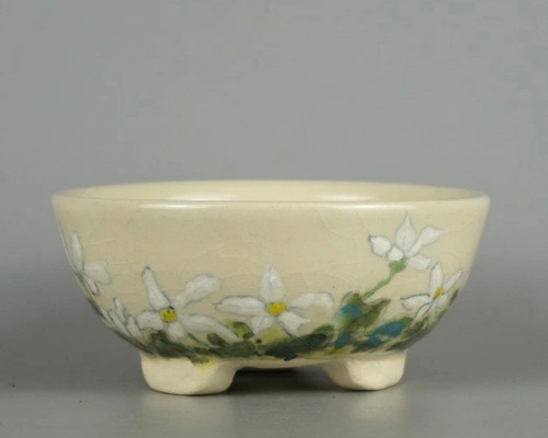 Pot bonsaï japonais - bonsaï,