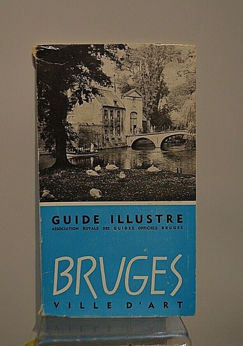 Ancien livre guide touristique - livre,
