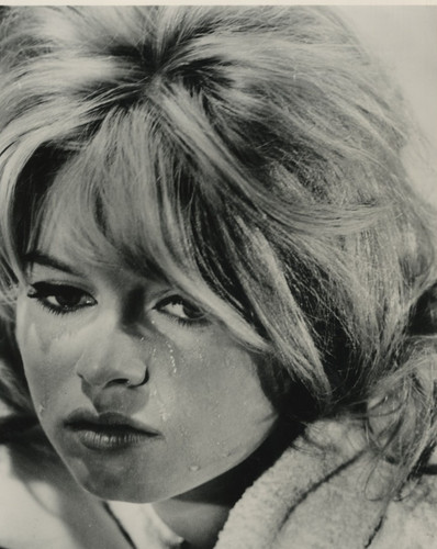Brigitte bardot photo - bb,