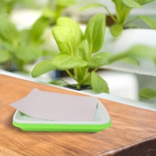 Hydroponique Plateau Germoir