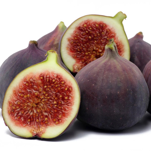 Ficus carica violette - carica, de