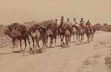 Caravane de Chameaux Afrique