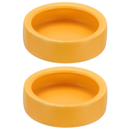 Reptile food bowl worm - food,